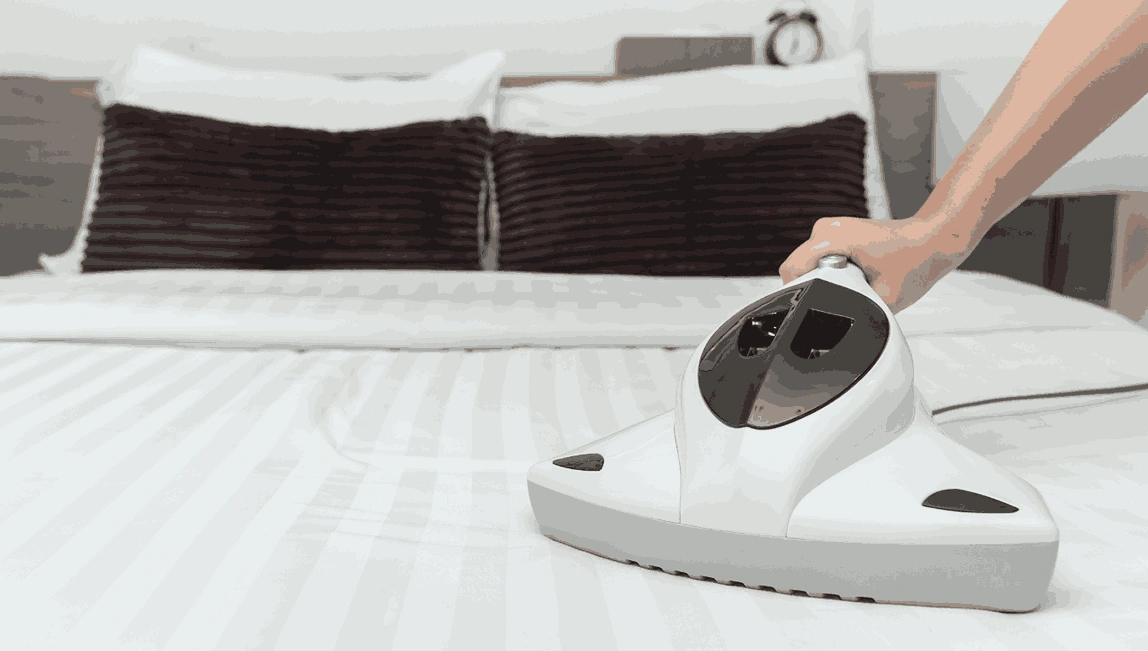 Professional Mattress Cleaning Tyabb